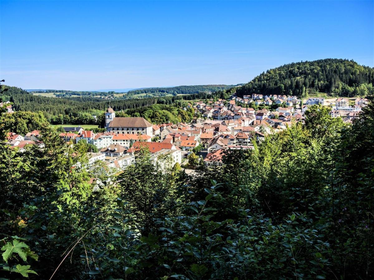 Gite Des Bouleaux Maîche Kültér fotó